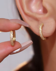 Radiant Rib Earrings